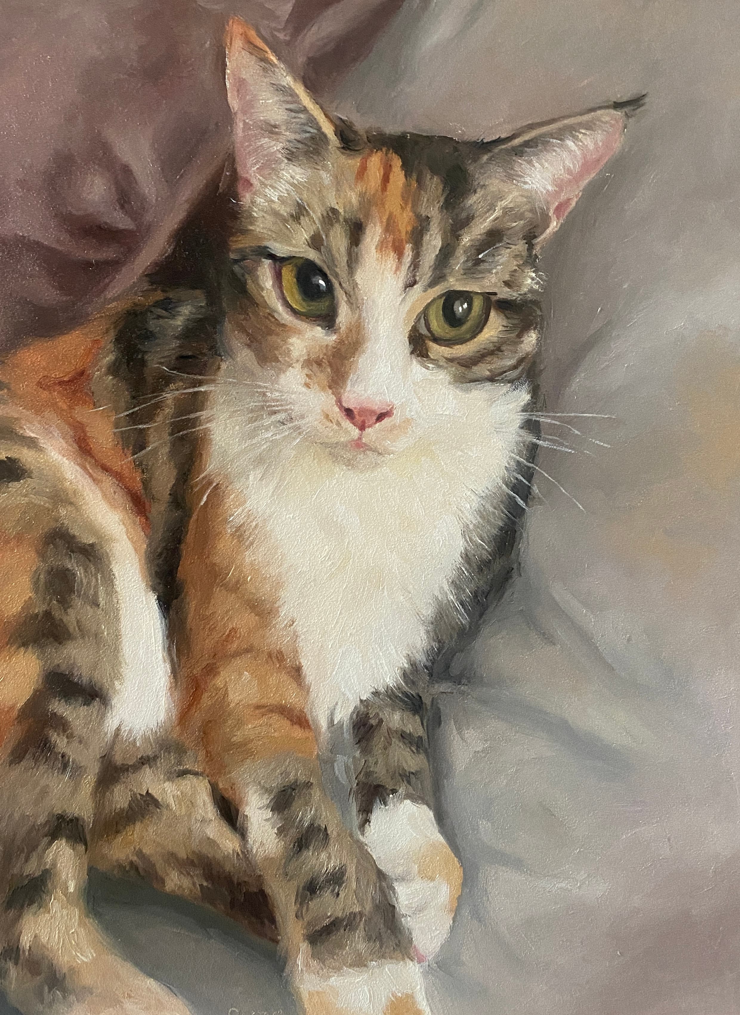 Cat portrait by SuzeMaryArt